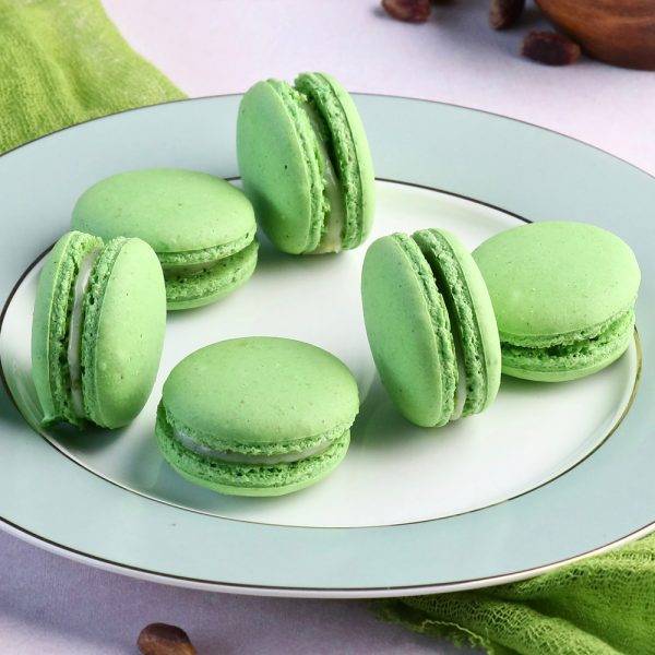 Rich Velvet Obsession