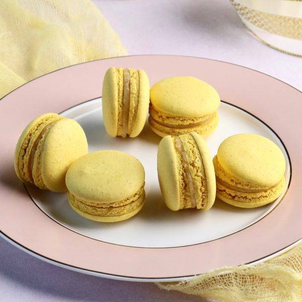 Chocolate Temptation