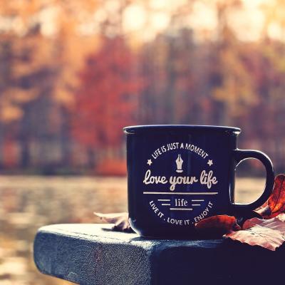 Fall 4656877 1920 Min